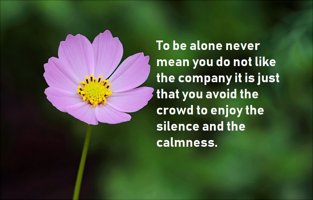 alone quotes to enjoy the silence