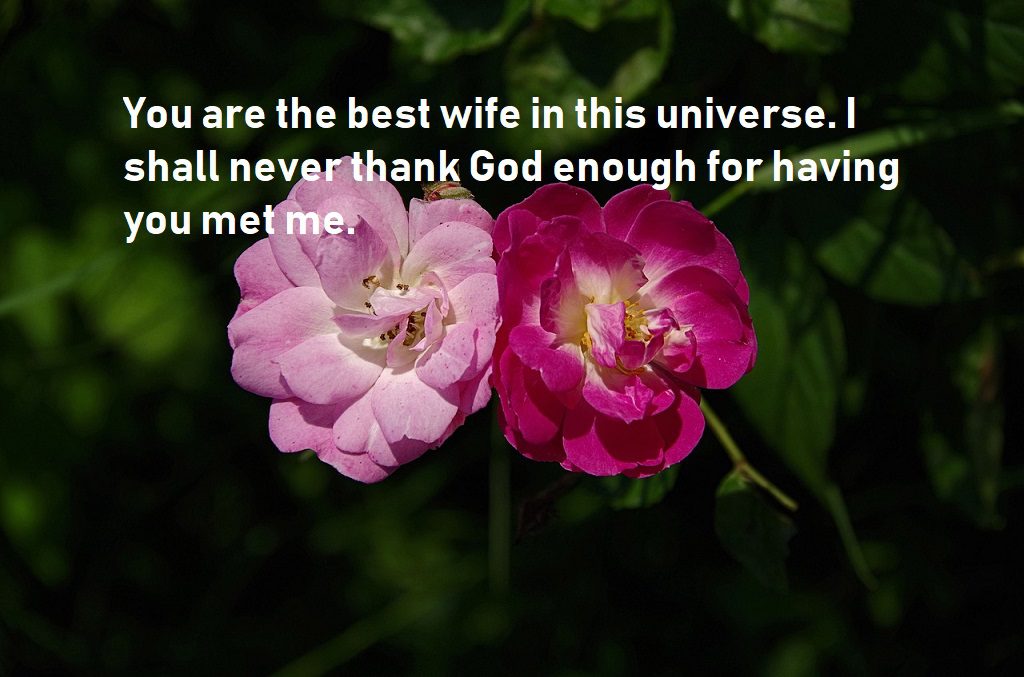 anniversary quotes for best wife