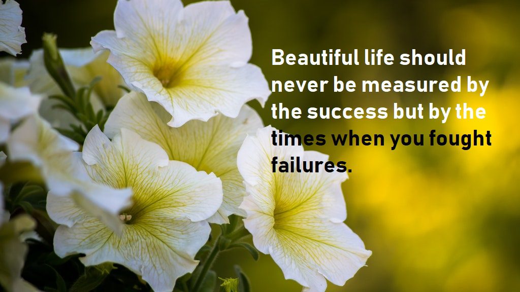 beautiful life quotes for success