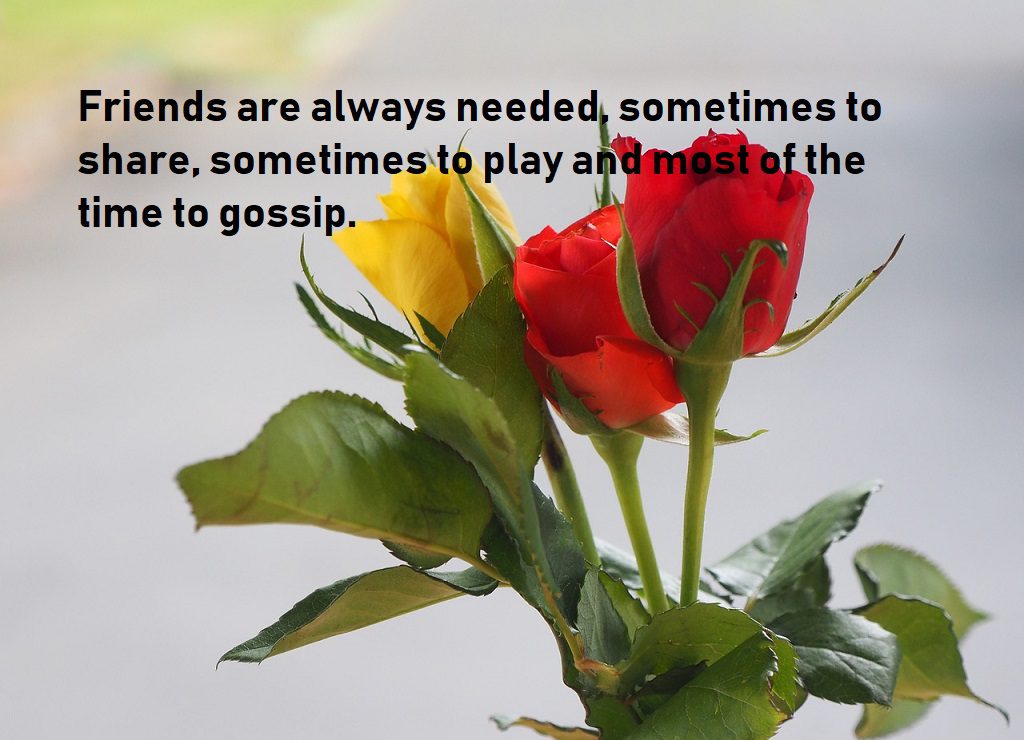 best friend quotes show friendship moments