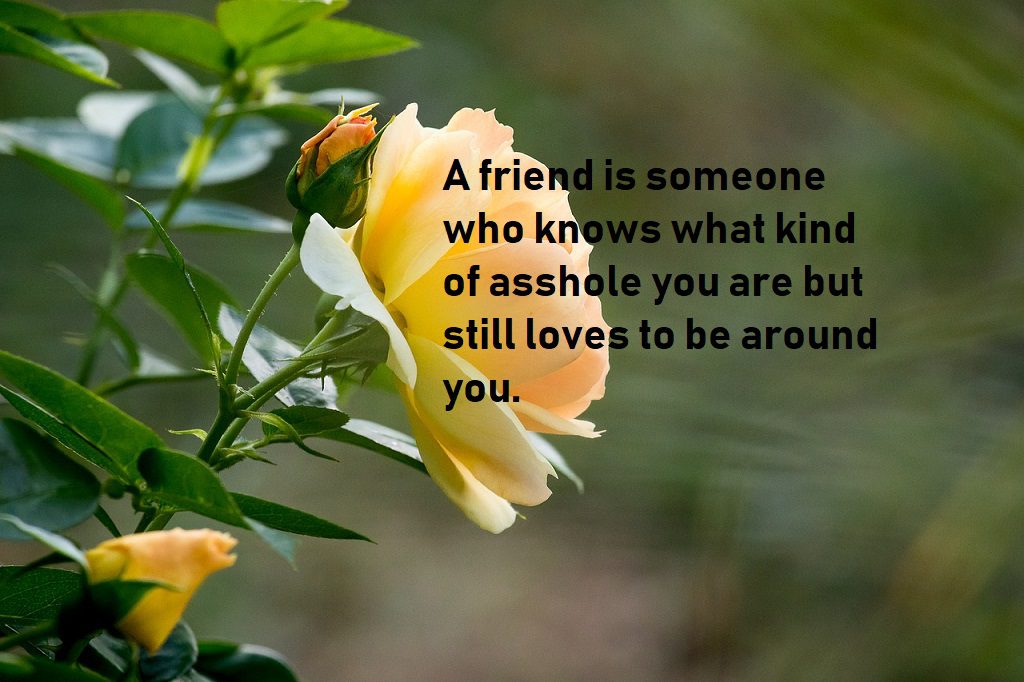 best friend quotes show  your love