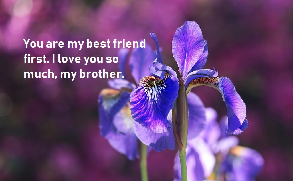 brother quotes show best friend