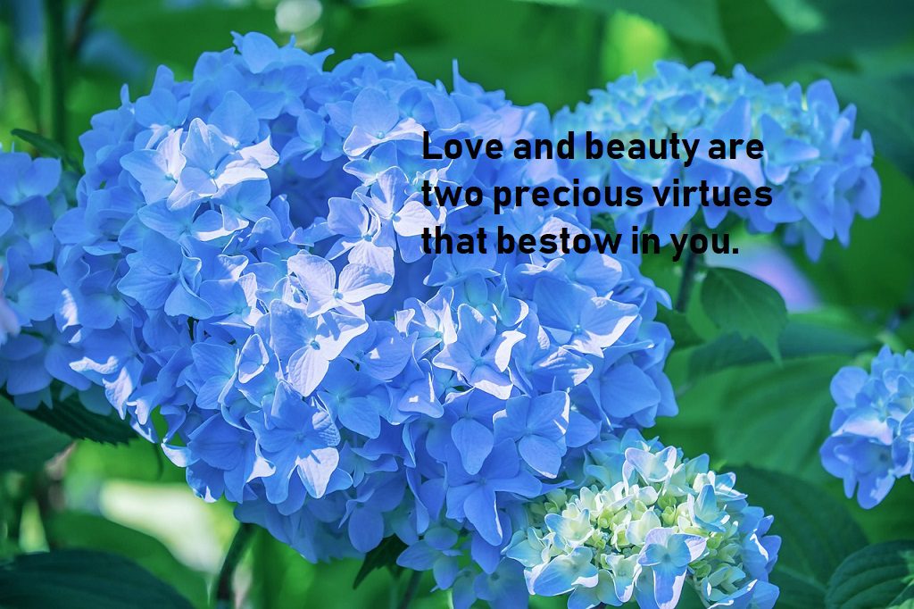 cute love quotes show beauty