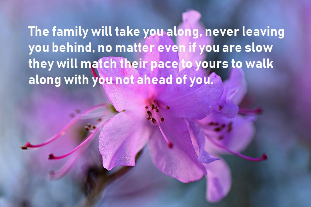 Family quotes show lovely family