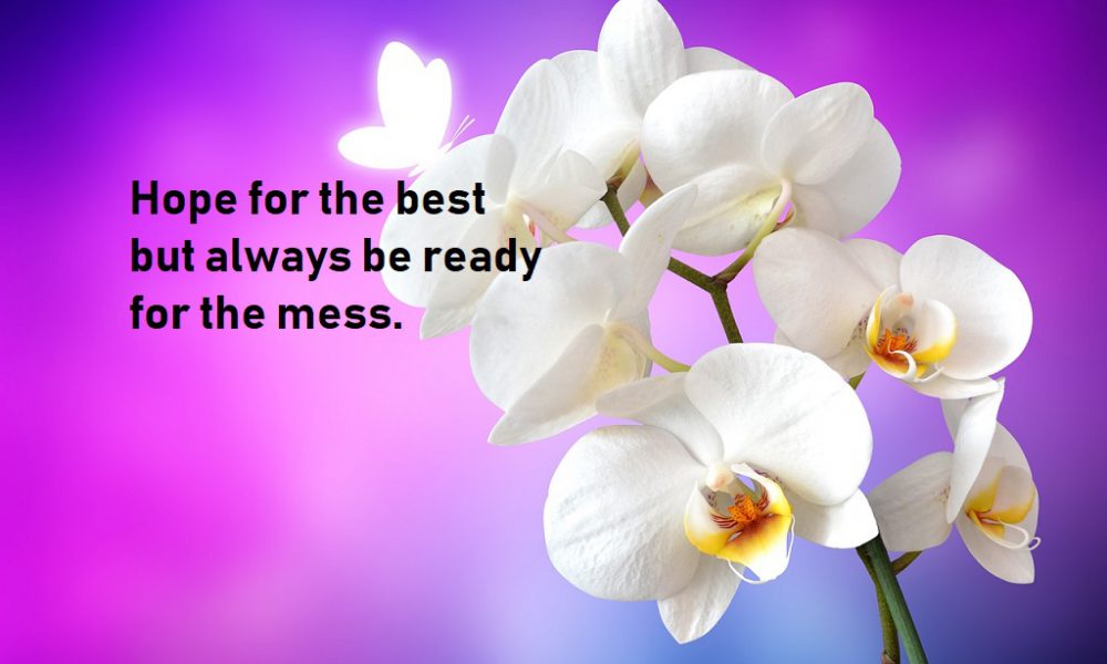 Funny quotes to enjoy the funny side of life - BestInfoHub Funny quotes to enjoy the funny side of life - BestInfoHub