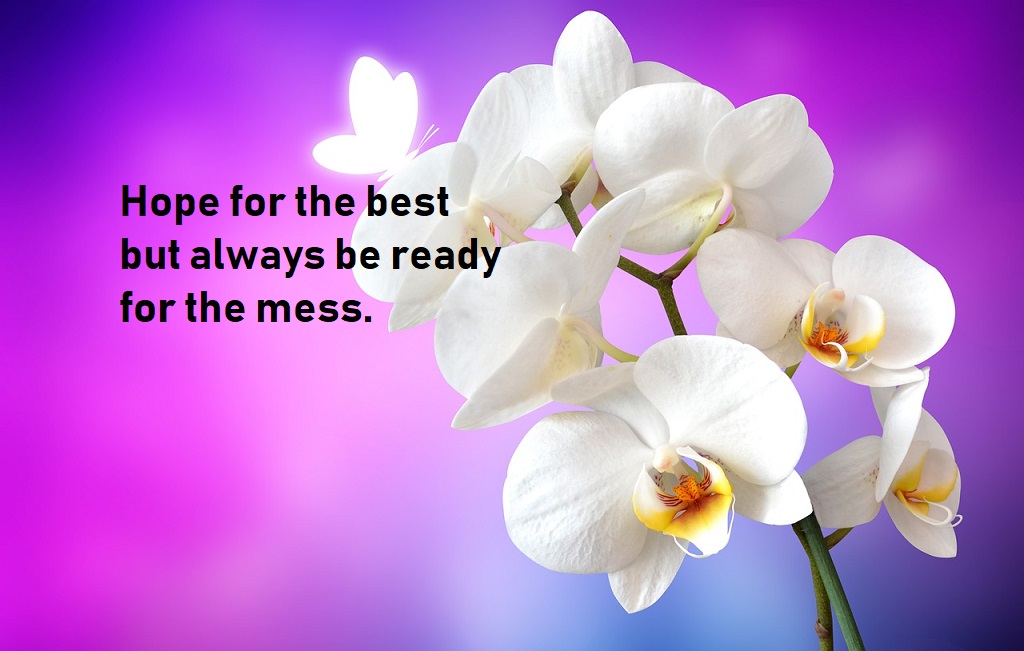 funny quotes for best friends