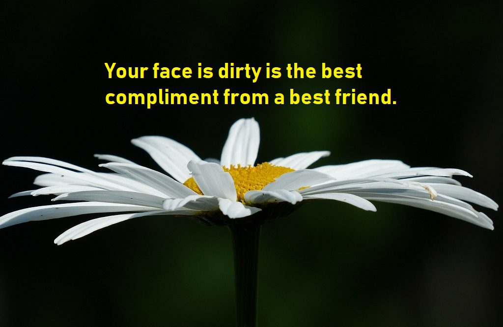 funny quotes show best compliment