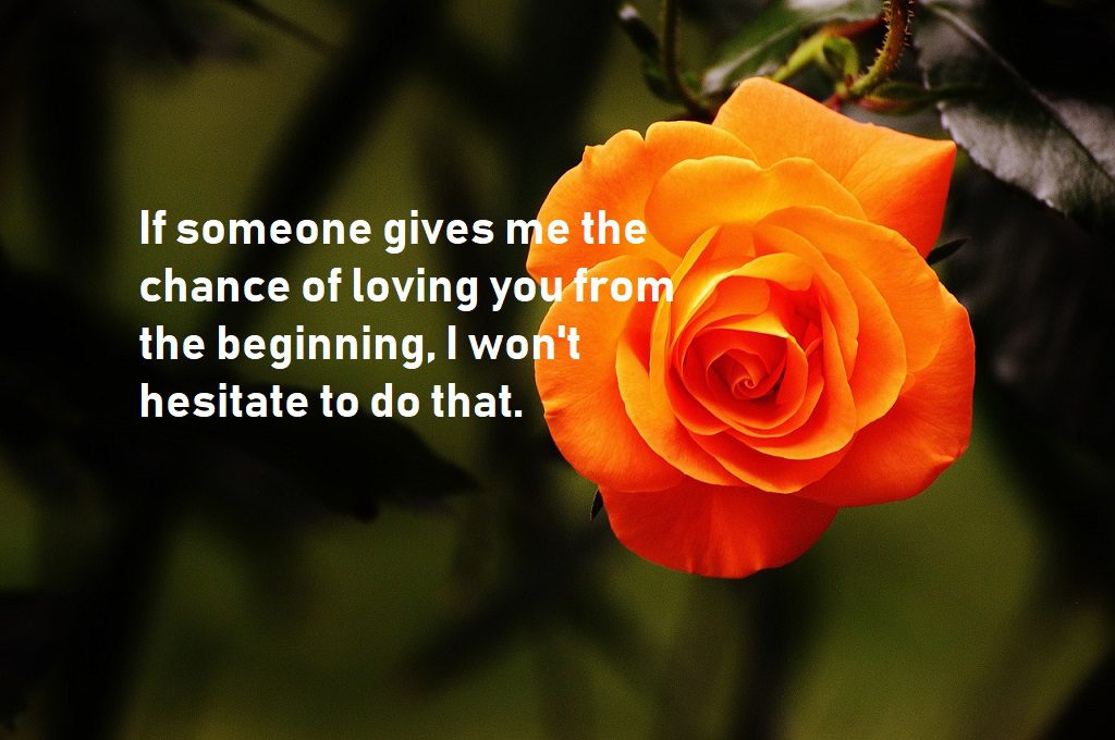 250+ Love Quotes for Her to Flawlessly Express Your Feelings