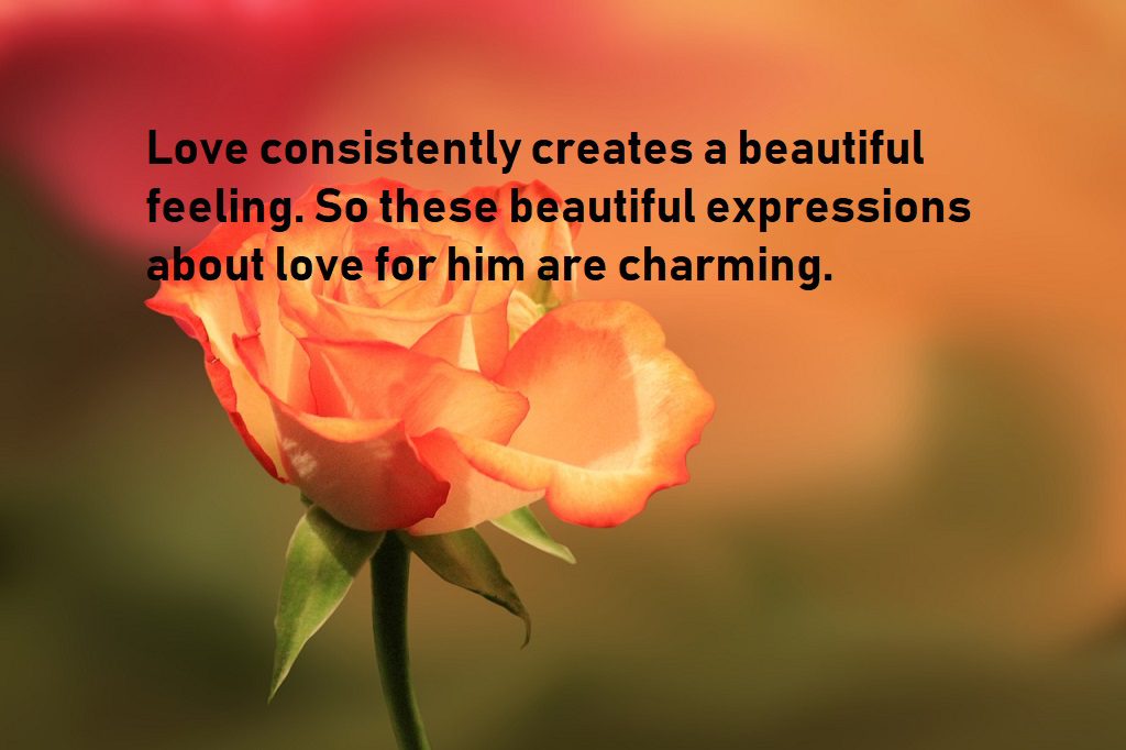 love quotes for him express feelings