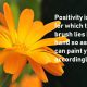 positive quotes for life