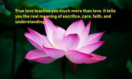 true love quotes for more than love