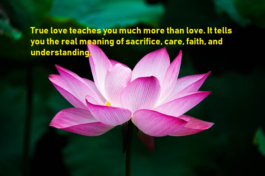 Meaning love real of True Love: