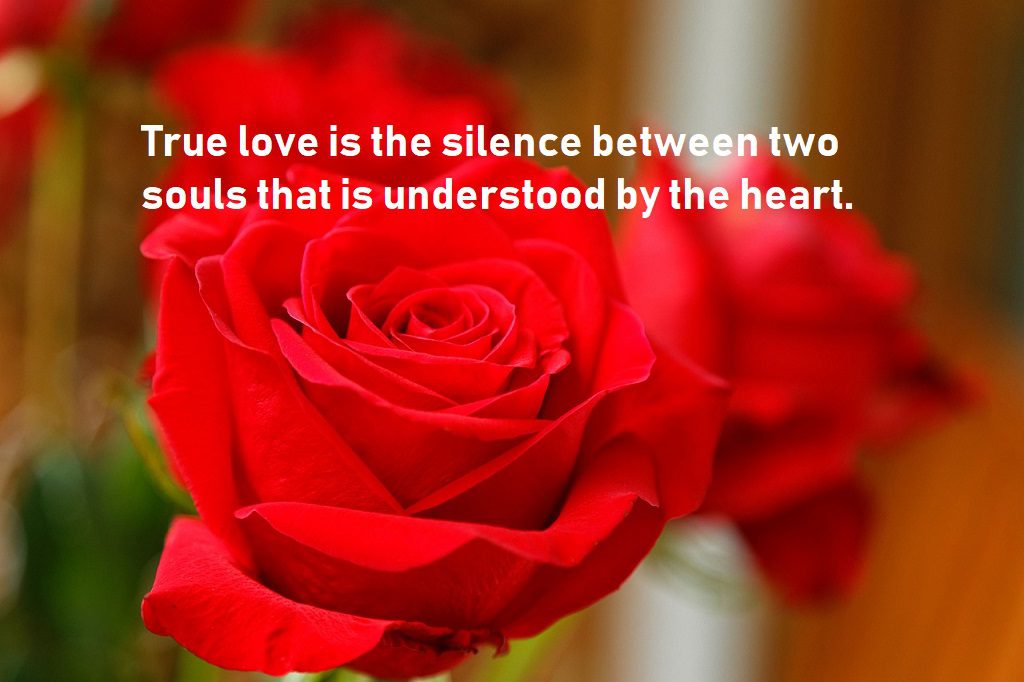 true love quotes for silence