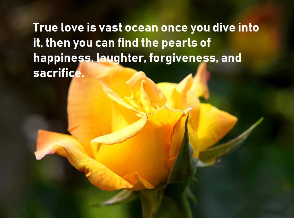 true love quotes show like ocean