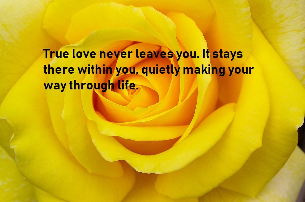true love quotes show way of life