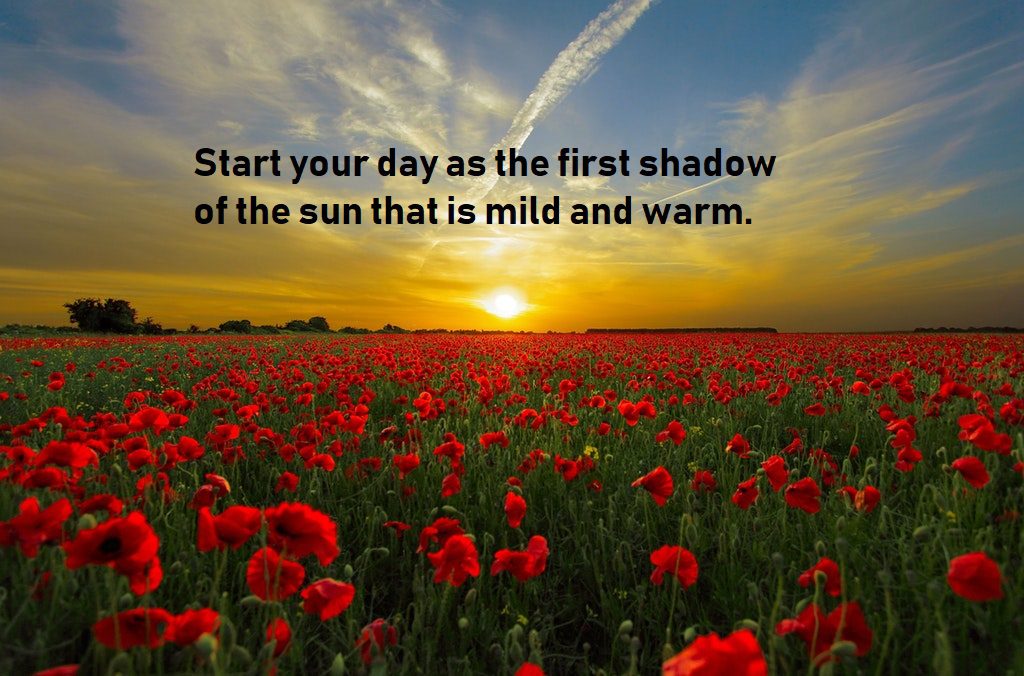 good morning quotes for shadow sun