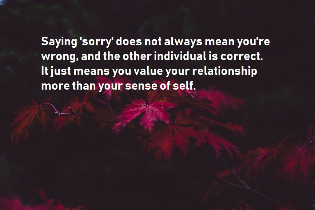 sorry quotes show value for relationship