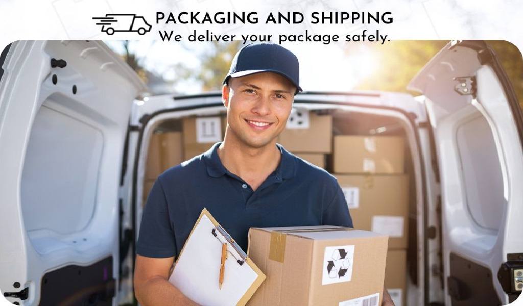 When selecting a courier partner, take into account these six shipping ...