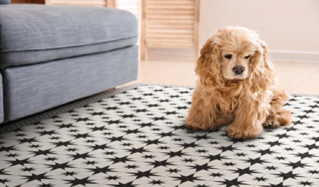 protect your floors