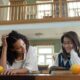 higher education career